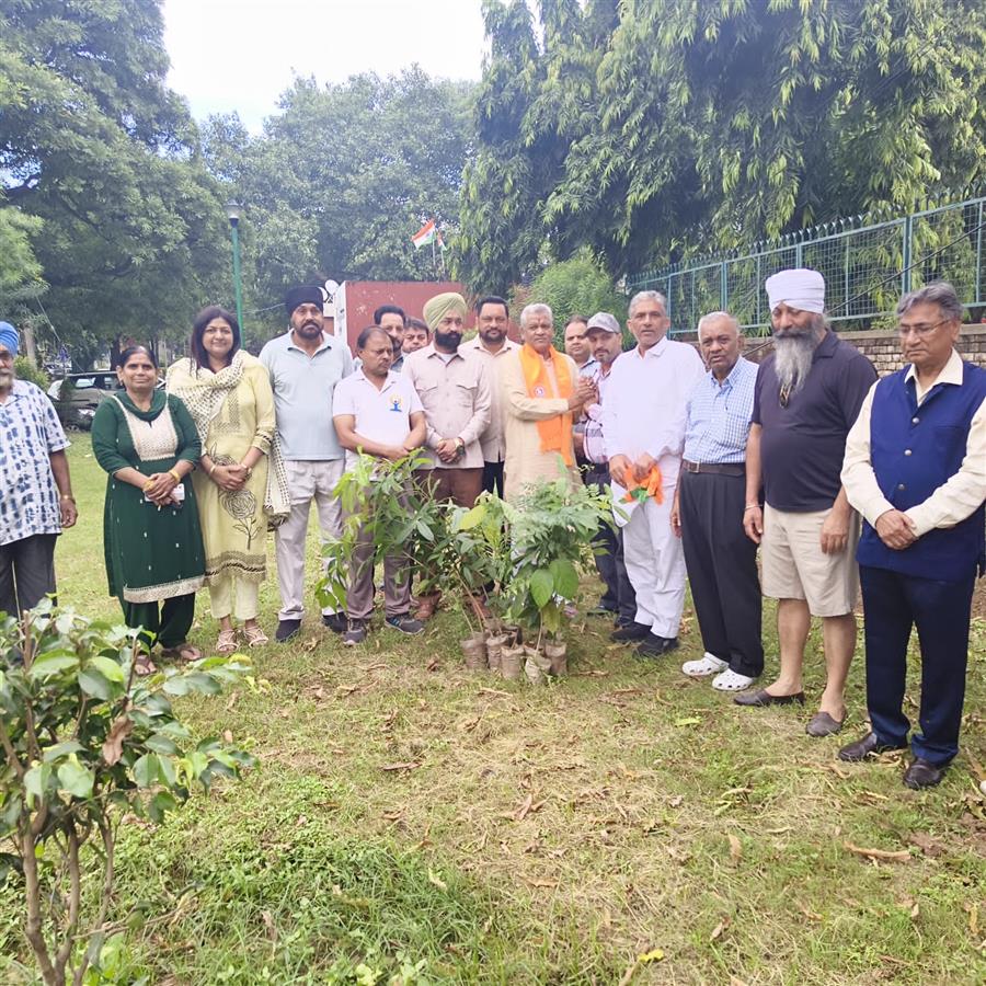 वार्ड-6 मनीमाजरा में भाजपा ने चलाया पौधारोपण अभियान, पर्यावरण संरक्षण का दिया संदेश