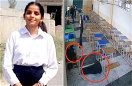 लॉ छात्रा हत्याकांड में नया मोड़, आरोपी के परिवार वालों ने तोड़ी चुप्पी, जानें क्या कहा