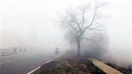 हरियाणा में मौसम का डबल असर: सुबह 50 मीटर विजिबिलिटी वाली धुंध, दोपहर में 30 सेल्सियस के करीब पहुंचा तापमान