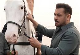 ‘मैं हूं’ गाने में सलमान ने खुद के सफेद घोड़े के साथ की शूटिंग