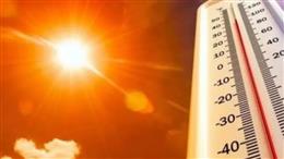 आ गई गर्मी...हरियाणा में 33 डिग्री पार पहुंचा तापमान, जानें अगले 5 दिन कैसा रहेगा मौसम