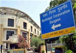 8 सप्ताह में MCG को मिलेंगे सीनियर डिप्टी मेयर और डिप्टी मेयर, हाईकोर्ट ने दिए आदेश