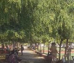 राजस्थान में मार्च में ही लू का प्रकोप : बाड़मेर में पारा 40.8 डिग्री पहुंचा, 14 मार्च को आंधी-बारिश का अलर्ट