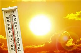 राजस्थान में हीटवेव की दस्तक : बाड़मेर और कोटा में पारा 40°C के करीब, अगले 96 घंटे भारी