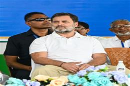 तमिलनाडु में चुनाव प्रचार से राहुल गांधी की गैरहाजिरी से डीएमके गठबंधन की बढ़ी चिंता