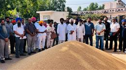  मंडियों में सुविधाओं और खरीद व्यवस्थाओं का जायजा लेने पहुंचे डिप्टी स्पीकर रौड़ी