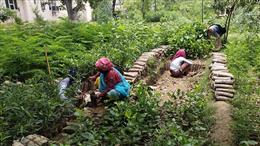 RGVSY: 4,000 हेक्टेयर भूमि में होगा पौधरोपण, 15,000 महिलाएं अभियान से जुड़ेंगी