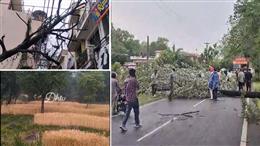 HP Weather: प्रदेश के कई जिलों में तेज हवाओं के साथ बारिश, जानें आगे कैसा रहेगा मौसम