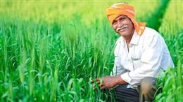 आर्थिक रूप से समृद्ध बनेंगे हरियाणा के किसान, एक्सपोजर विजिट पर जाकर सीखेंगे खेती में नया तजुर्बा