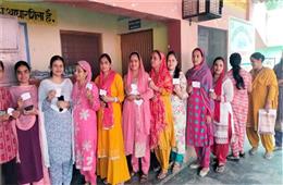 Himachal Panchayat Eletion 2026: जानिए किस जिले में कितने प्रतिशत हुई वोटिंग