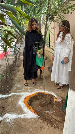 विश्व पर्यावरण दिवस पर पंचकूला के ज़िला न्यायालय परिसर में वृक्षारोपण कार्यक्रम का आयोजन