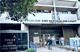 बड़ी राहत; कटऑफ से ज्यादा अंक वाले अभ्यर्थियों के हक में हाईकोर्ट का फैसला, CET-2 में बैठने की मिली मंजूरी