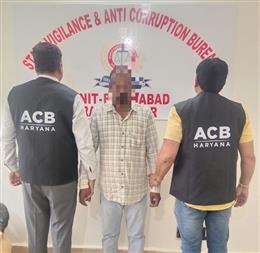 लाइन शिफ्ट करने के नाम पर 15 हजार रुपए की रिश्वत लेते DHBVN का लाइनमैन रंगे हाथ गिरफ्तार