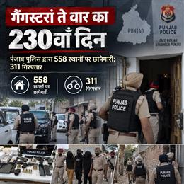 गैंगस्टरां ते वार का 230वाँ दिन : पंजाब पुलिस द्वारा 558 स्थानों पर छापेमारी; 311 गिरफ्तार