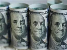 भारत का विदेशी मुद्रा भंडार 780.78 अरब डॉलर पर स्थिर: RBI