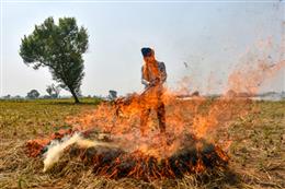 पंजाब में 49 पराली जलाने की घटनाएं दर्ज, 10 मामलों में लगाया गया 50 हजार रुपये जुर्माना