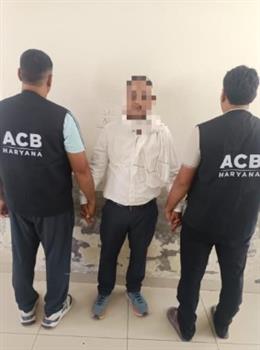 गन्नौर में 90 हजार रुपये की रिश्वत लेते हलका पटवारी गिरफ्तार, SV&ACB ने की कार्रवाई
