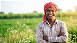 हरियाणा के भूजल उपयोगकर्ताओं को बड़ी राहत: सरकार ने बढ़ाई डेडलाइन और माफ की लेट फीस... आसानी से जमा करें चार्ज